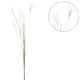 Droogtak pampas naturel 150 cm | 10 stuks