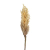 Countryfield rama artificial astilbe LED a batería marrón claro 90 cm | 12 piezas