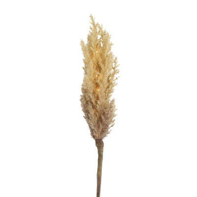 Countryfield rama artificial astilbe LED a batería marrón claro 90 cm | 12 piezas