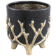 Vaso da fiori Ptmd quin l nero 17 cm | 8 pezzi