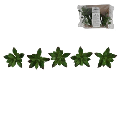 Pianta succulenta artificiale 7 cm set da 5 | 12 pezzi