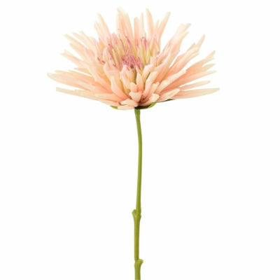 J-line fiore artificiale crisantemo rosa chiaro 40 cm | 24 pezzi