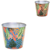 Maceta bob Jungle s 11 cm 2 surtidos | 24 piezas