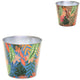 Maceta bob Jungle s 11 cm 2 surtidos | 24 piezas