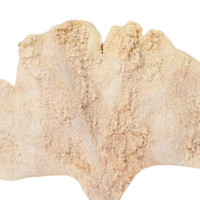 Ramo artificiale foglia di ginkgo beige 97 cm | 24 pezzi