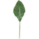 Ptmd rama artificial hojas verde oscuro 80 cm | 12 piezas