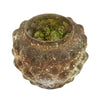 Theelichthouder hendrick glas 13 cm | 9 stuks