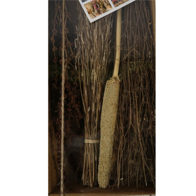 Confezione regalo fiori secchi 58 cm | 12 pezzi
