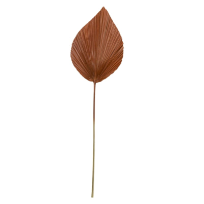 Light living light en living blad plantae bruin 90 cm | 12 stuks
