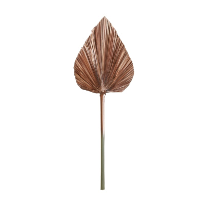 Luz viva y hoja viva plantae color cobre 57 cm | 12 piezas