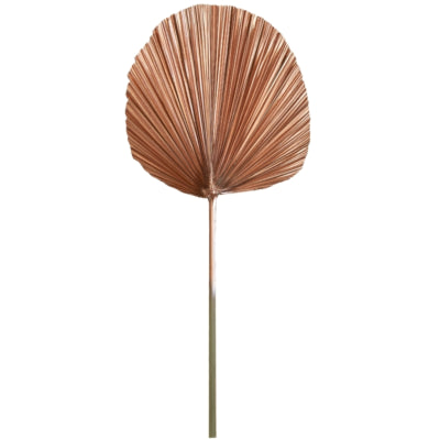 Luz viva y hoja viva plantae color cobre 87 cm | 12 piezas