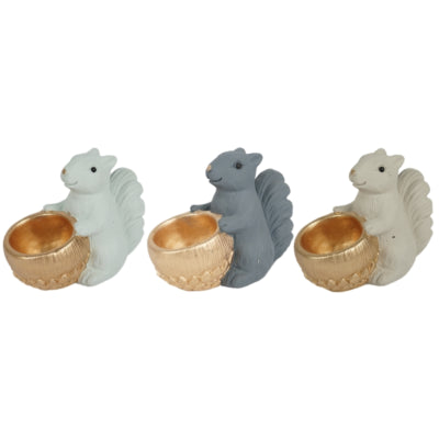 Daan benthout bowl jingle ardilla sentada 17 cm 3 surtidos | 12 piezas