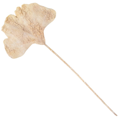 Ramo artificiale foglia di ginkgo beige 97 cm | 24 pezzi
