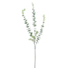 Spray de eucalipto sin marca l 78cm | 12 piezas