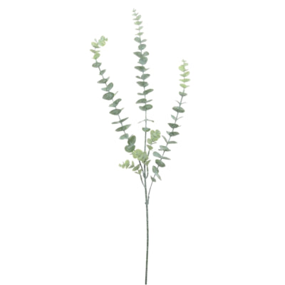 Spray de eucalipto sin marca l 78cm | 12 piezas
