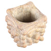Ptmd bloempot drew s crème 14 cm | 12 stuks