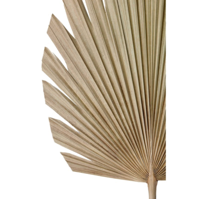 Light living light en living blad plantae naturel 103 cm | 12 stuks