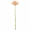 J-line fiore artificiale crisantemo rosa chiaro 40 cm | 24 pezzi