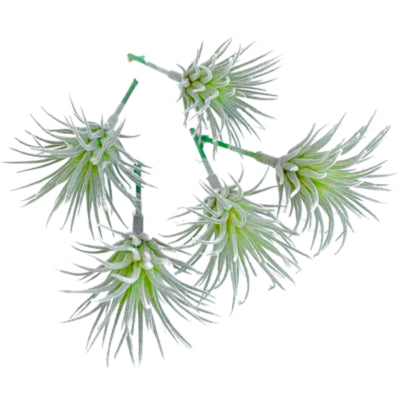 Planta artificialtillandsia verde 7,5 cm juego de 5 | 24 piezas