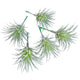 Planta artificialtillandsia verde 7,5 cm juego de 5 | 24 piezas
