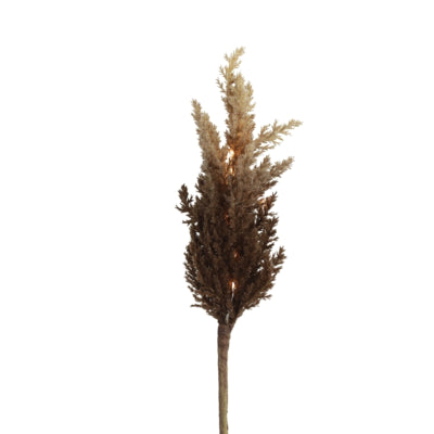 Countryfield rama artificial astilbe led a batería marrón 90 cm | 12 piezas