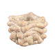 Ptmd bloempot drew xs crème 12 cm | 16 stuks