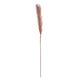 Countryfield ramo artificiale pennacchi rosa antico 118 cm | 24 pezzi