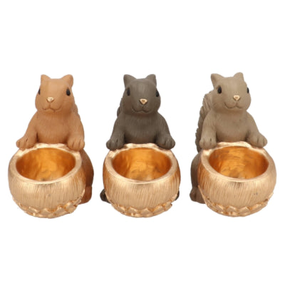 Daan ciotola in legno curvato jingle scoiattolo seduto marrone 17 cm 3 assortiti | 6 pezzi