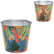 Maceta bob Jungle xl 17 cm 2 surtidos | 12 piezas