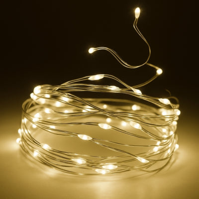 Catena luminosa 80 LED spina EU bianca 790 cm | 24 pezzi