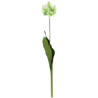 Countryfield fiore artificiale tulipano tulipa verde 73 cm | 12 pezzi