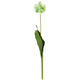 Countryfield fiore artificiale tulipano tulipa verde 73 cm | 12 pezzi