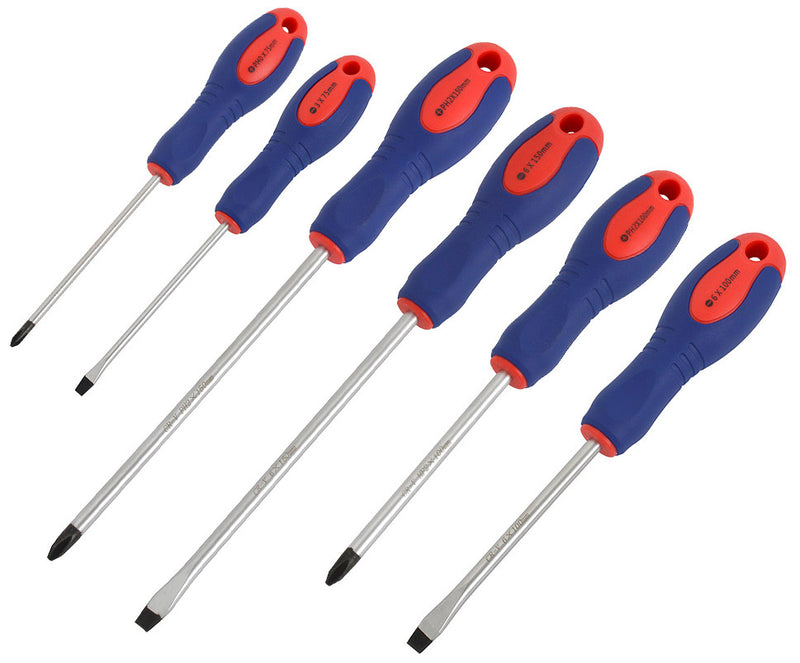Set di cacciaviti professionali Radon da 6 pezzi