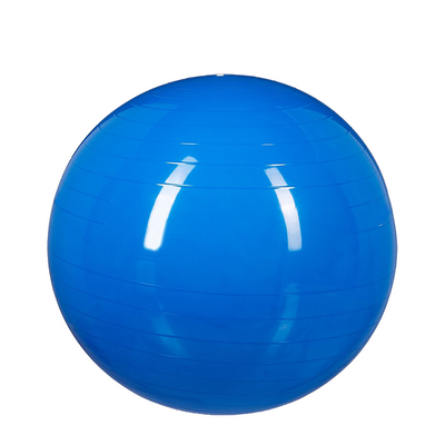 Relaxdays pelota de gimnasia azul ø55cm