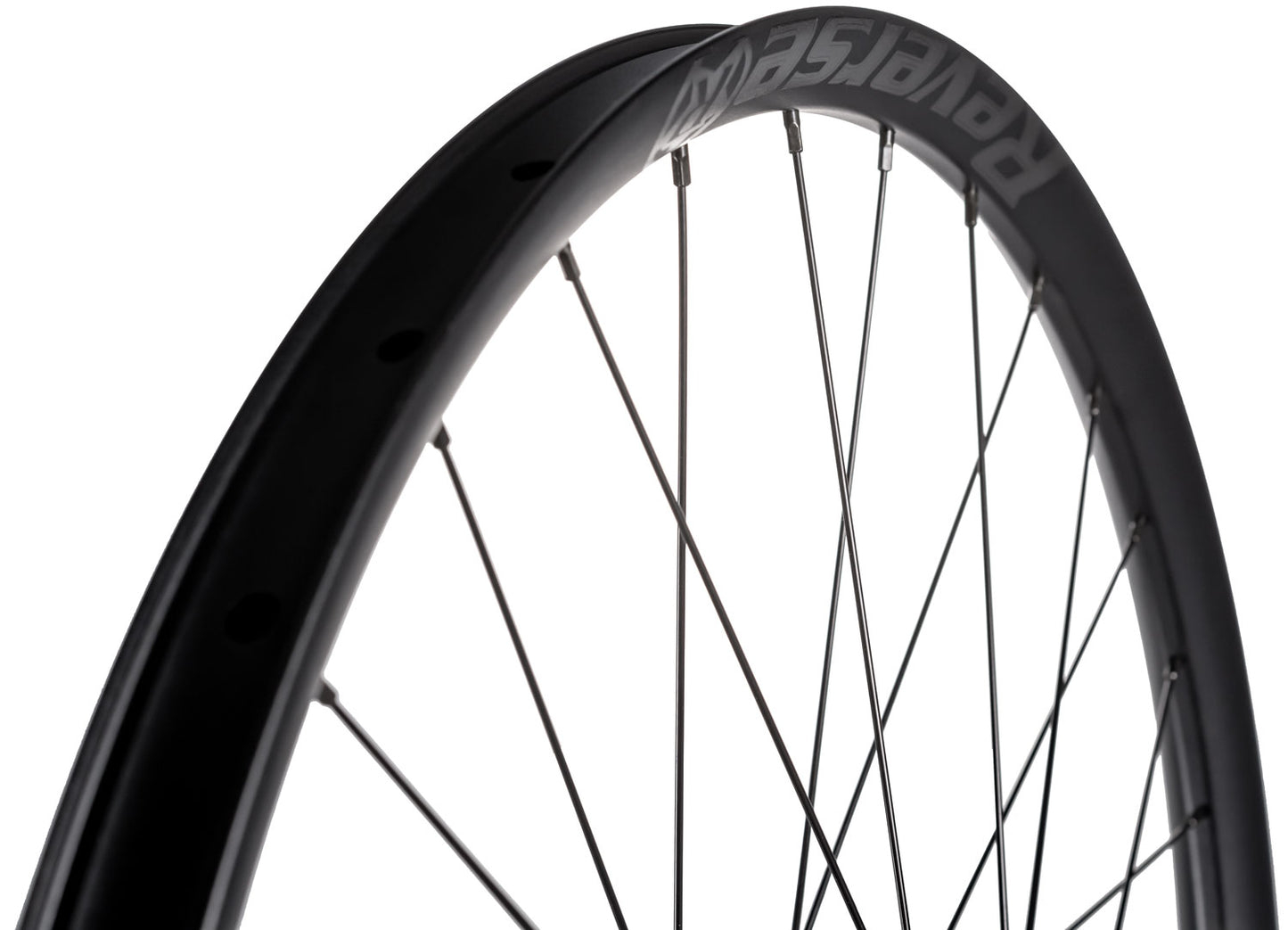 Componenti Reverse ruota anteriore Black One DH 29 Super Boost