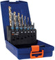 Rotec 7+7 pz. serie di maschi a macchina '331' e punte elicoidali '110' m3-m12 - 900.2009ic - 900.2009ic