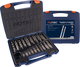 Set di punte elicoidali Rotec 1-10x0,5mm hss-g 170 pezzi