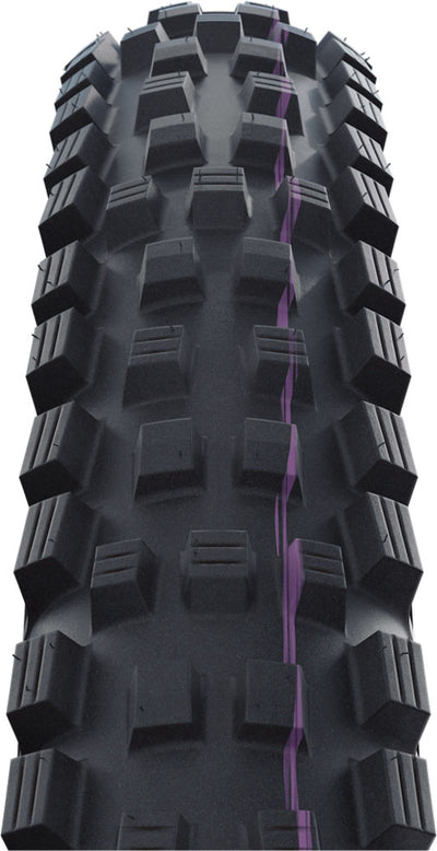 Schwalbe Tire 29 Magic Mary