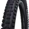 Schwalbe vouwband tacky chan evolution 62-622 tle zwart
