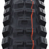 Schwalbe Tire Big Betty Evol.Line 62-507
