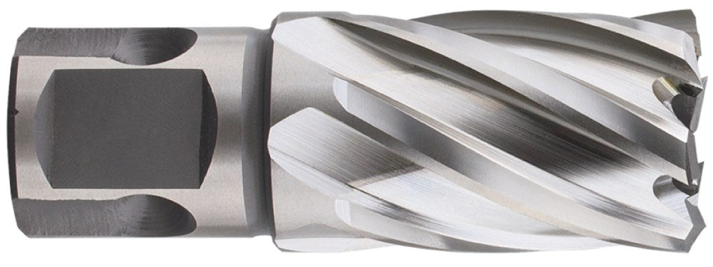 Punta a corona Rotec hss-xe silver-line 43.0mm sl30