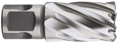 Punta a corona Rotec hss-xe silver-line 55.0mm sl30
