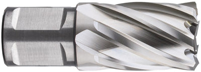 Punta a corona Rotec hss silver-line 38.0mm sl30 weldon