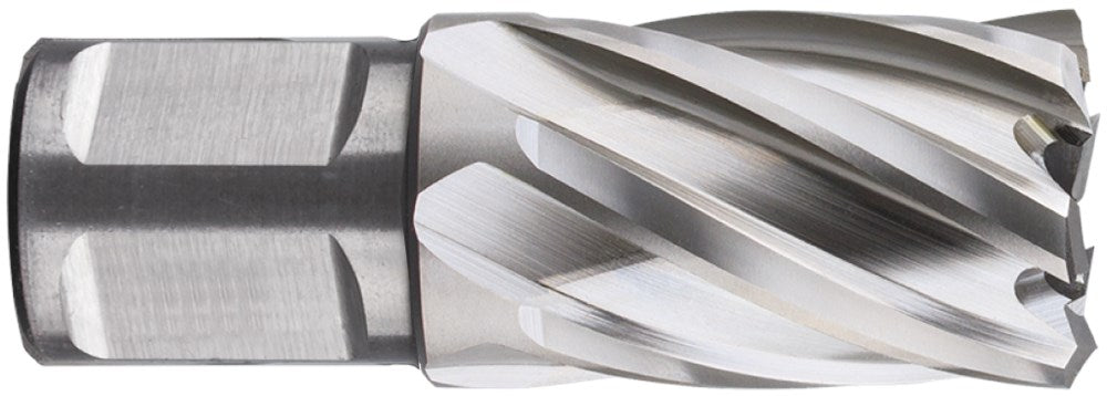 Punta a corona Rotec hss silver-line 39.0mm sl30 weldon