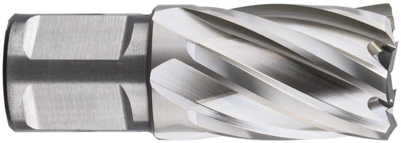 Punta a corona Rotec hss silver-line 46.0mm sl30 weldon