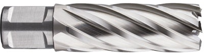 Punta a corona Rotec hss-xe silver-line 32.0mm sl55 weldon