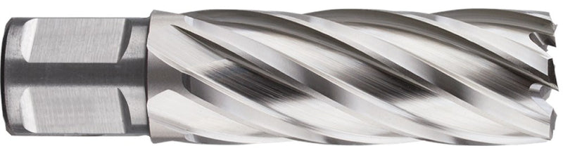 Punta a corona Rotec hss-xe silver-line 32.0mm sl55 weldon