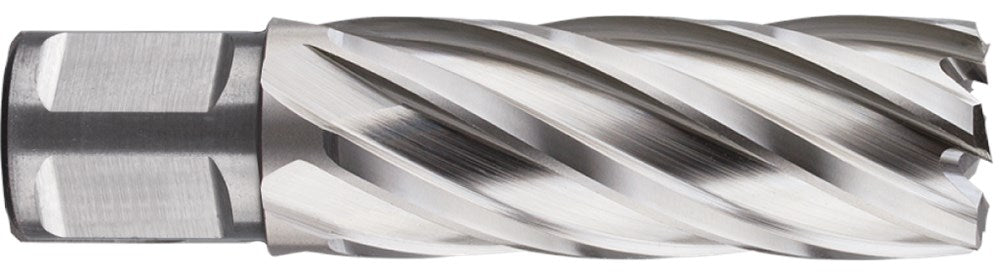 Punta a corona Rotec hss-xe silver-line 35.0mm sl55 weldon