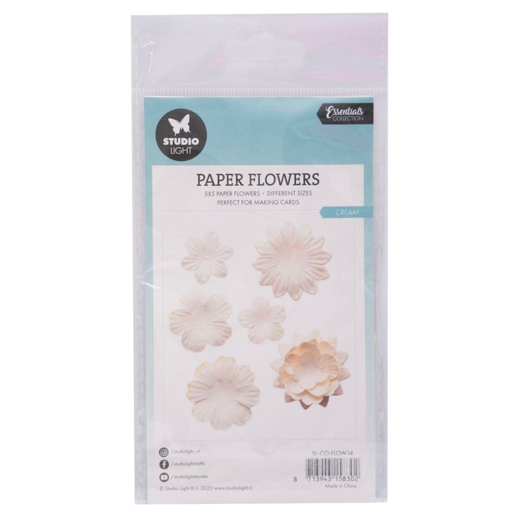 Luz de estudio • flores de papel 25ud crema