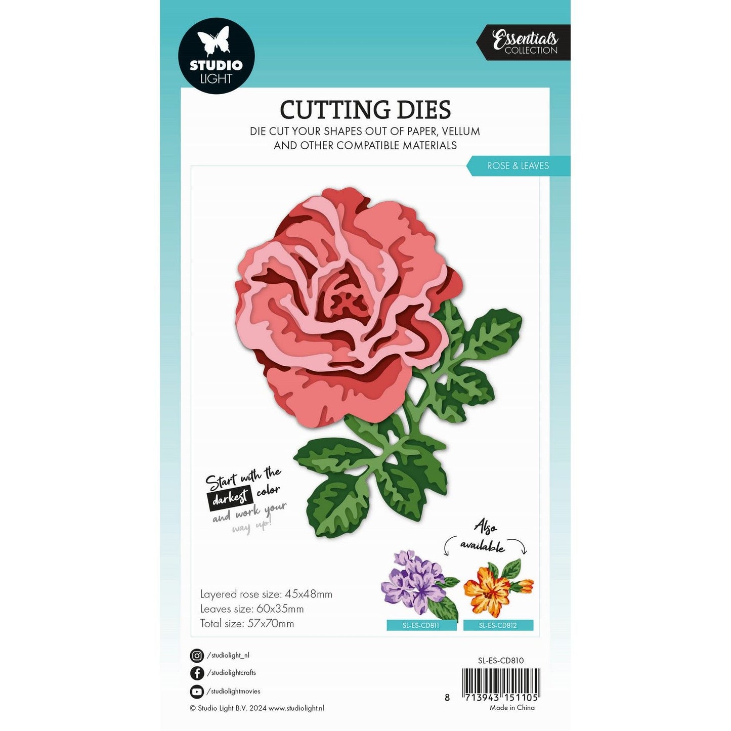 Luce da studio • fustelle essenziali a strati - foglie di rosa